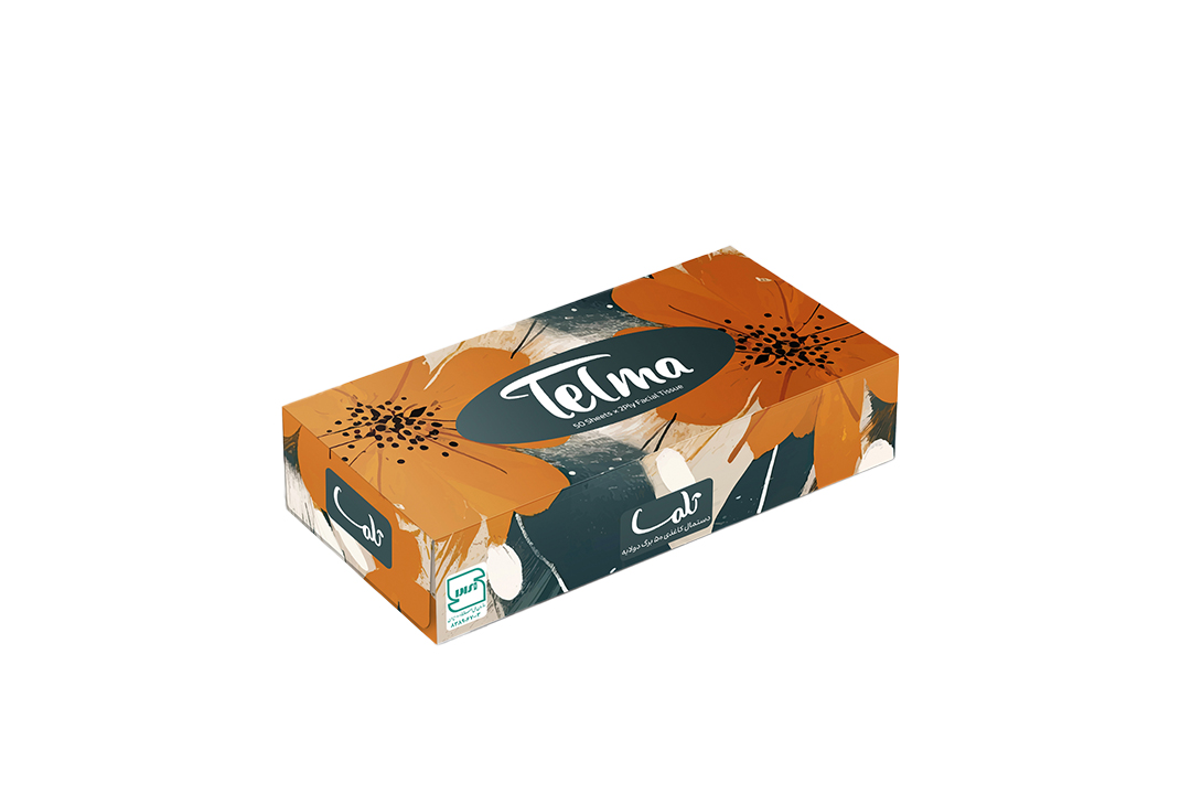 Facial Tissue-100Sheets-Zhoba Design