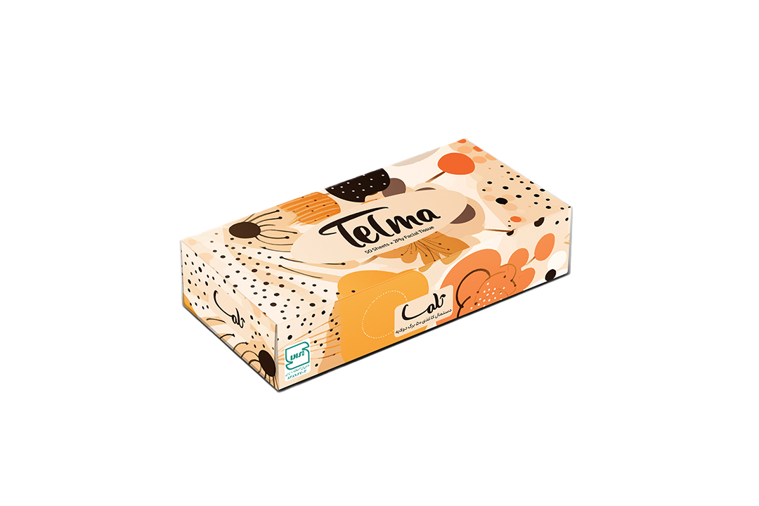 Facial Tissue-100Sheets-Ladan Design