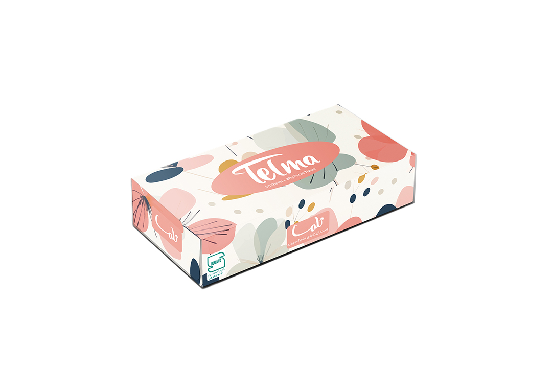 Facial Tissue-100Sheets-Chichak Design