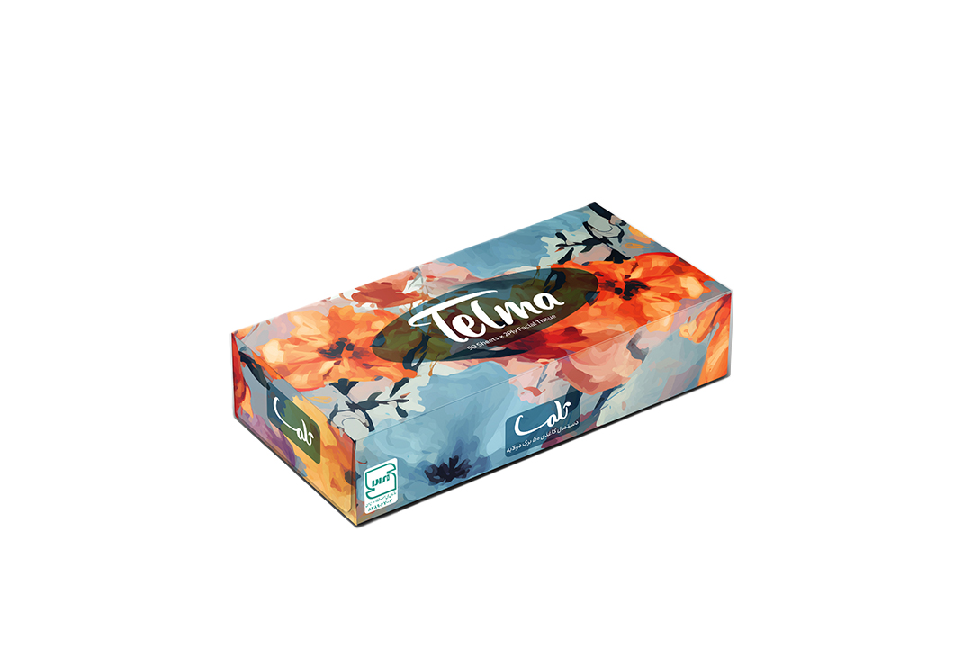 Facial Tissue-100Sheets-Felor Design