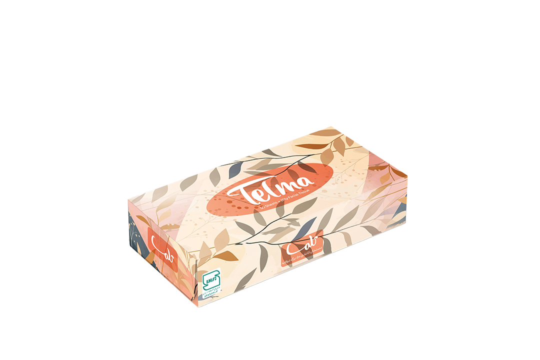 Facial Tissue-100Sheets-Arnika Design