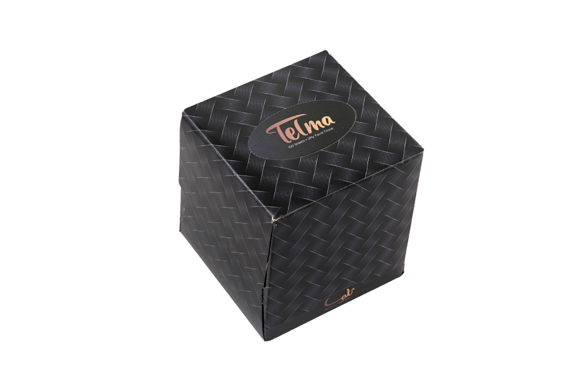 Cube Facial Tissue-200Sheets-Haris Design