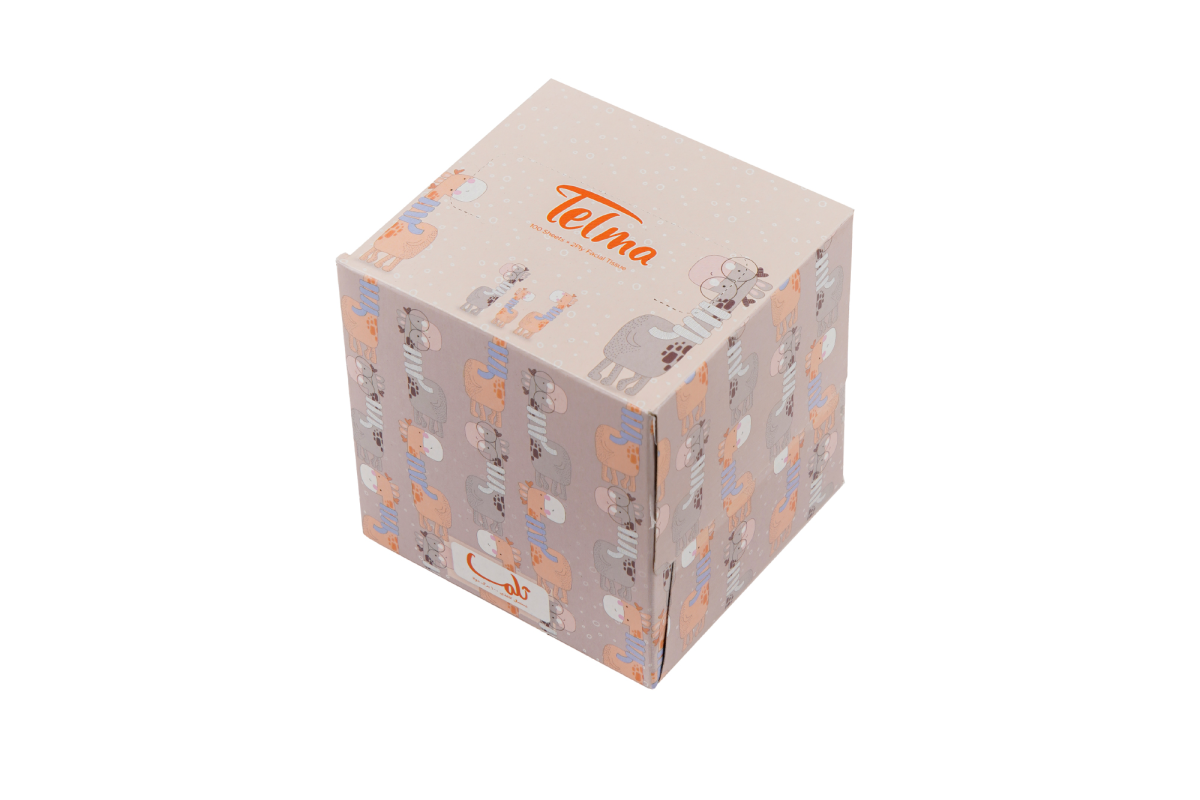 Cube Facial Tissue-200Sheets-Zarafeh Design