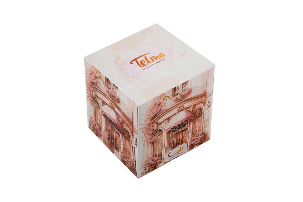 Cube Facial Tissue-200Sheets Romance Design