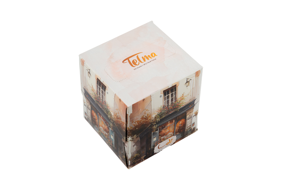 Cube Facial Tissue-200Sheets Roman Design