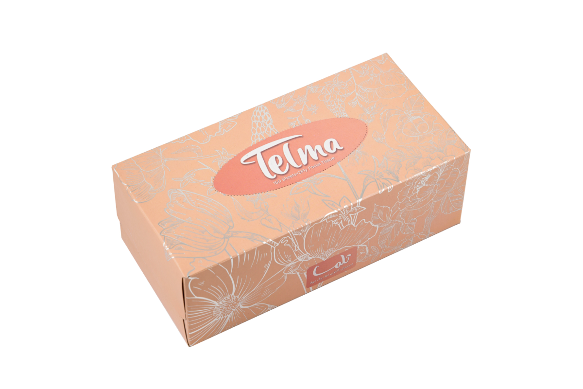 Facial Tissue-300Sheets