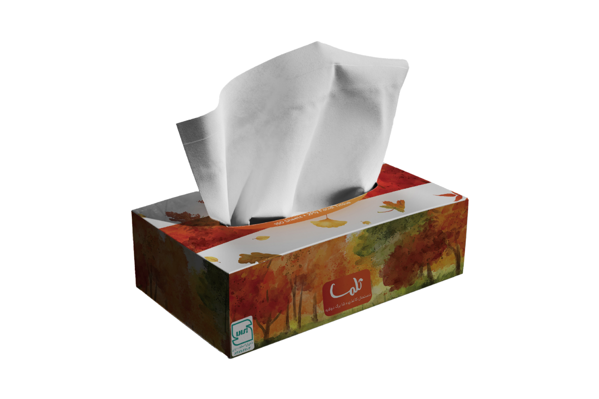 Facial Tissue-300Sheets