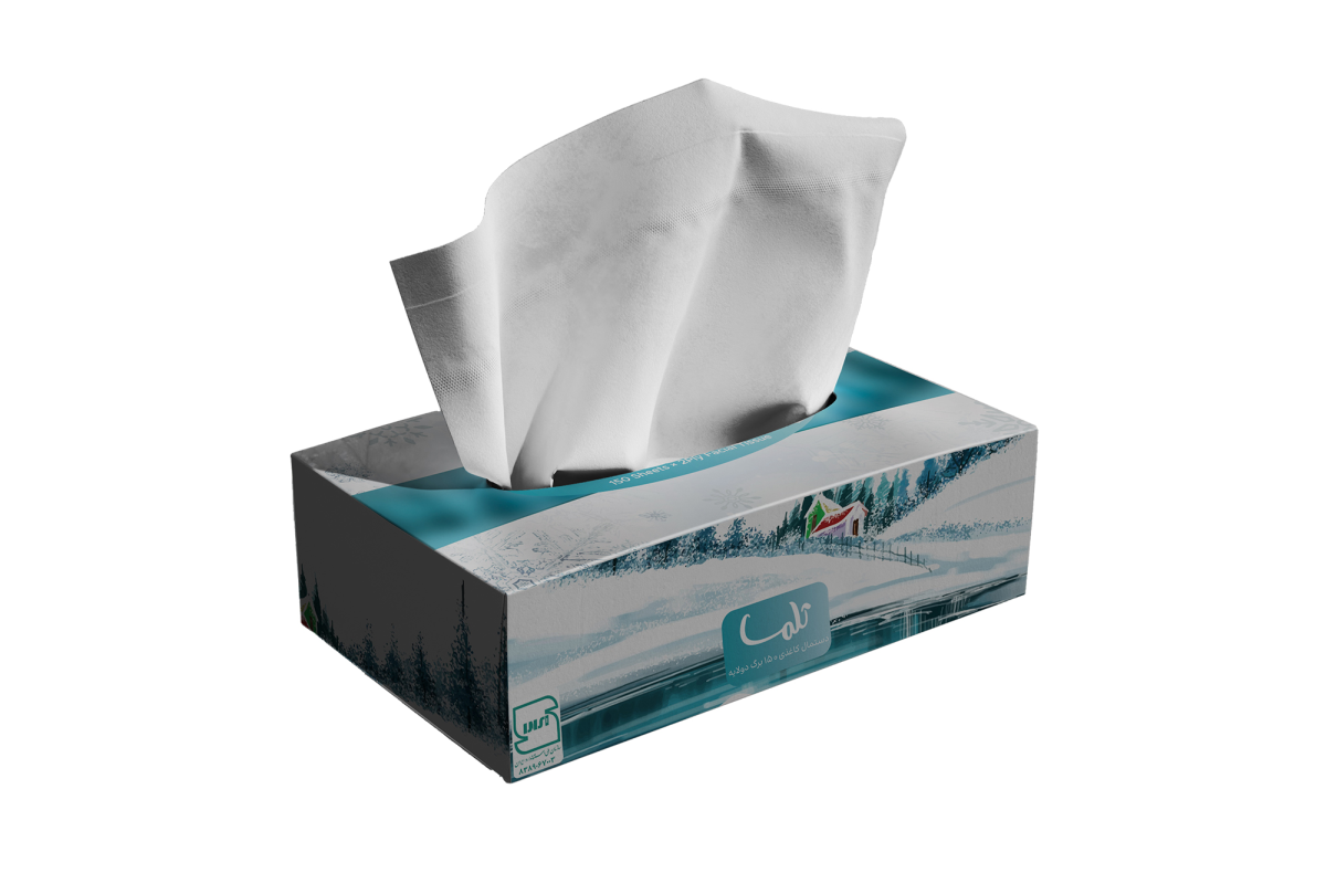 Facial Tissue-300Sheets