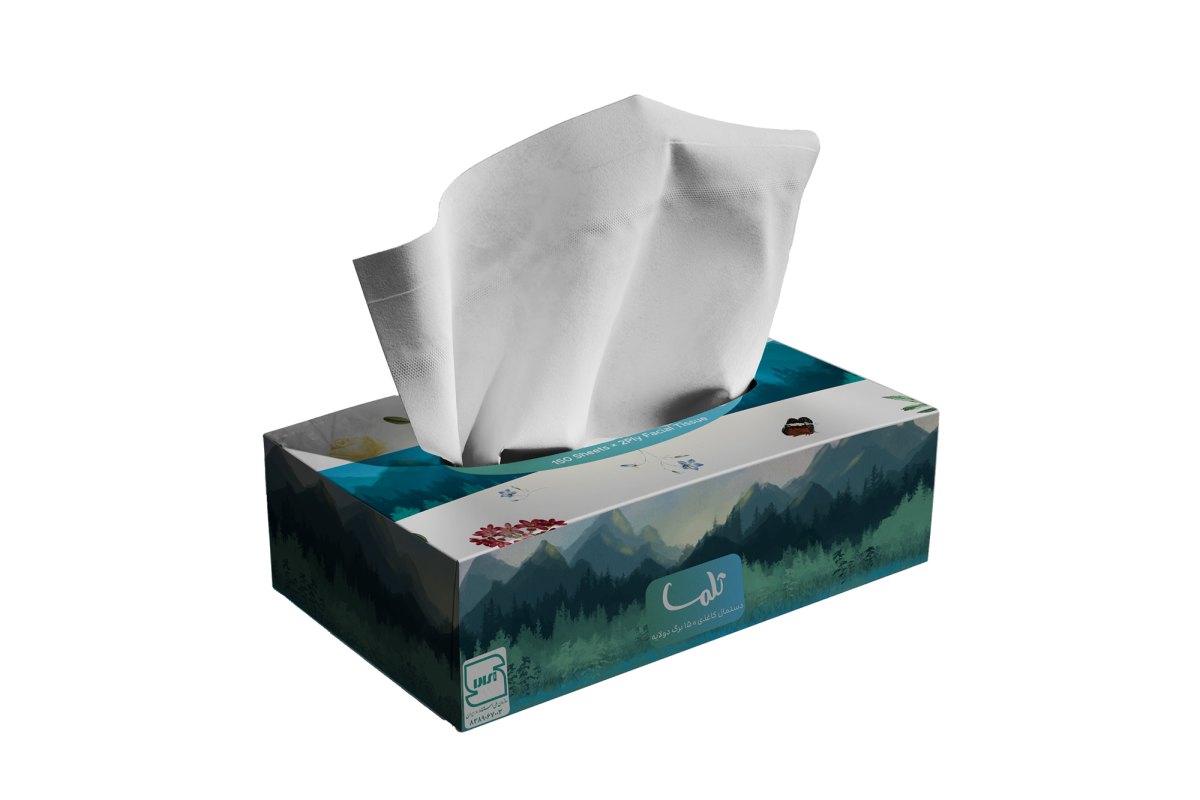 Facial Tissue-300Sheets