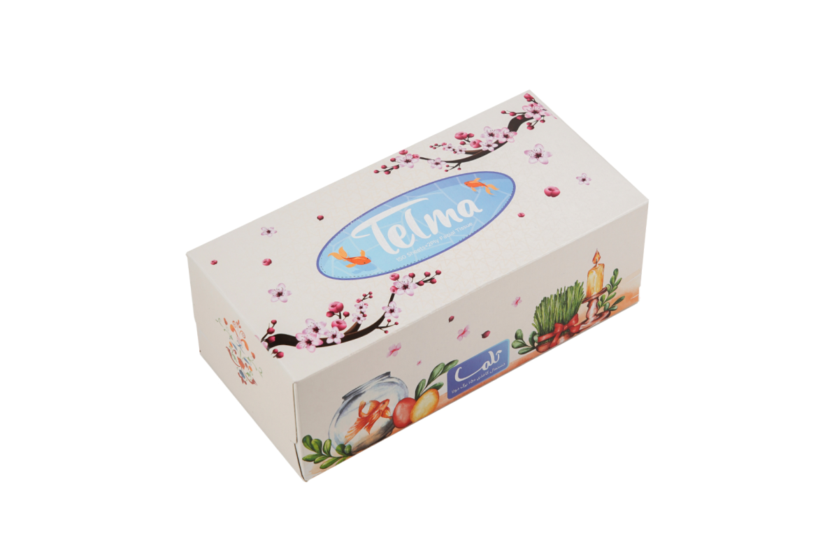 Facial Tissue-300Sheets-Nowruz design