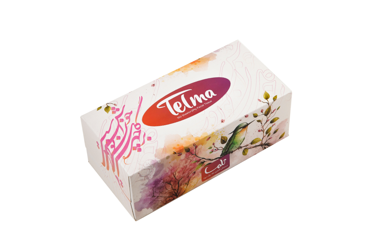 Facial Tissue-300Sheets-Nowruz design