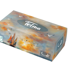 Facial Tissue-300Sheets-Deniz Design