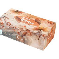 Facial Tissue-300Sheets-Gilda Design