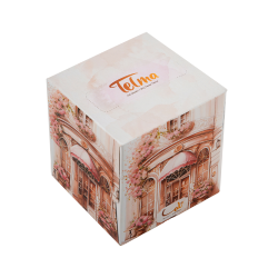 Cube Facial Tissue-200Sheets Romance Design