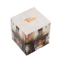 Cube Facial Tissue-200Sheets Roman Design