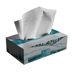 Facial Tissue-300Sheets