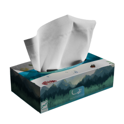 Facial Tissue-300Sheets