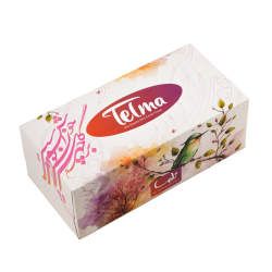 Facial Tissue-300Sheets-Nowruz design